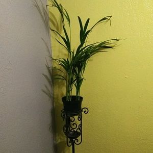 Meet your Posher, Mayra